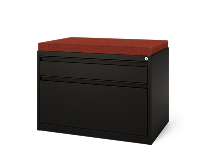 Keep 2-Drawer Flat and Hanging Lateral File Cabinet