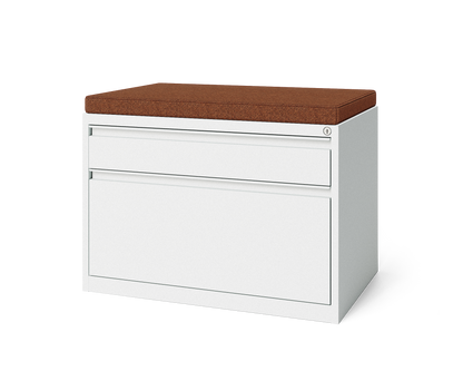 Keep 2-Drawer Flat and Hanging Lateral File Cabinet