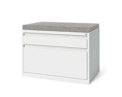 Keep 2-Drawer Flat and Hanging Lateral File Cabinet