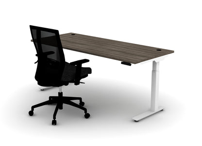 Think Desk (sit to stand) + Chair Bundle