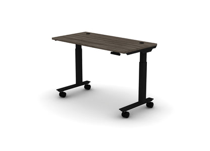 Mobile Think Desk (sit to stand)