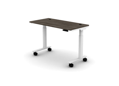 Mobile Think Desk (sit to stand)