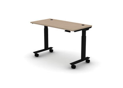 Mobile Think Desk (sit to stand)