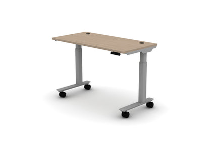 Mobile Think Desk (sit to stand)