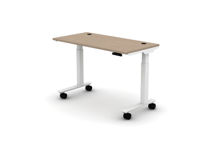 Mobile Think Desk (sit to stand)