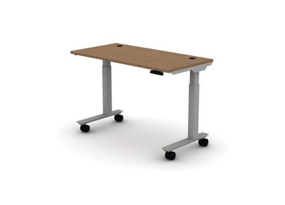 Mobile Think Desk (sit to stand)