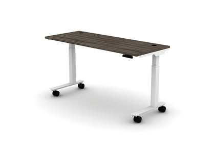 Mobile Think Desk (sit to stand)