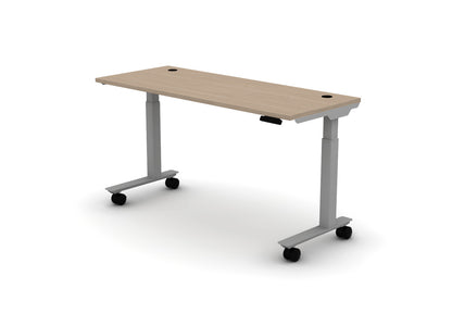 Mobile Think Desk (sit to stand)