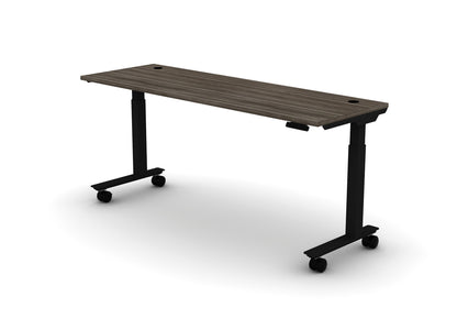 Mobile Think Desk (sit to stand)