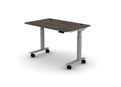 Mobile Think Desk (sit to stand)