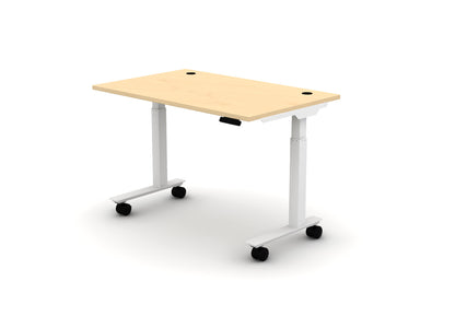 Mobile Think Desk (sit to stand)