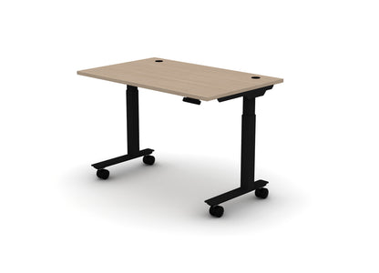 Mobile Think Desk (sit to stand)