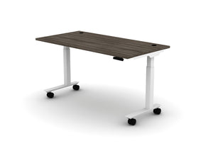 Mobile Think Desk (sit to stand)