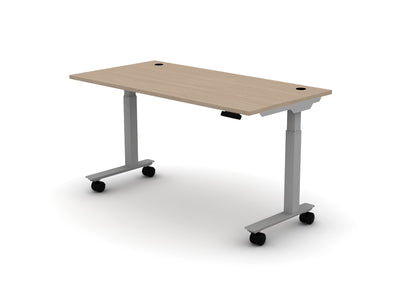 Mobile Think Desk (sit to stand)