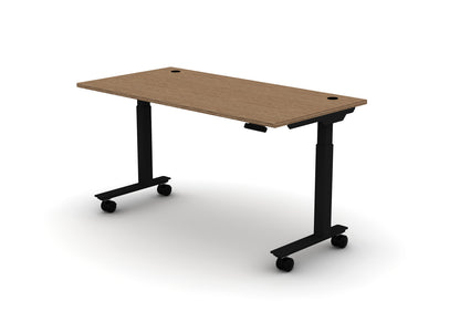 Mobile Think Desk (sit to stand)