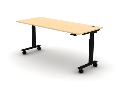 Mobile Think Desk (sit to stand)