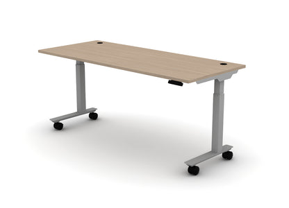 Mobile Think Desk (sit to stand)